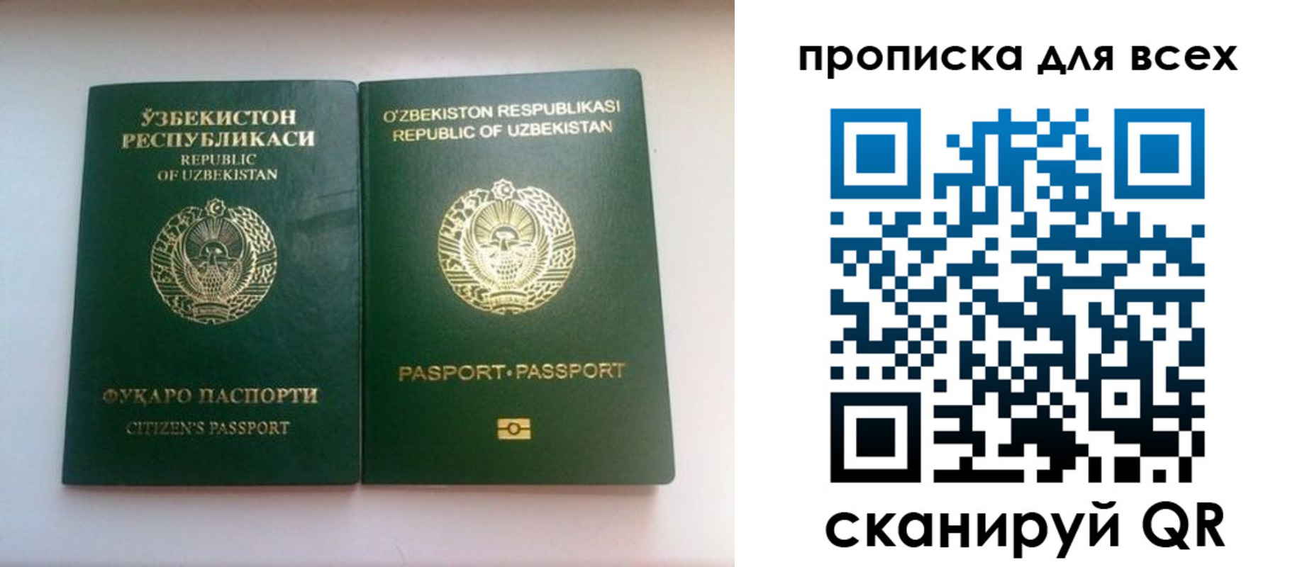 прописка для школы в Белгородской области